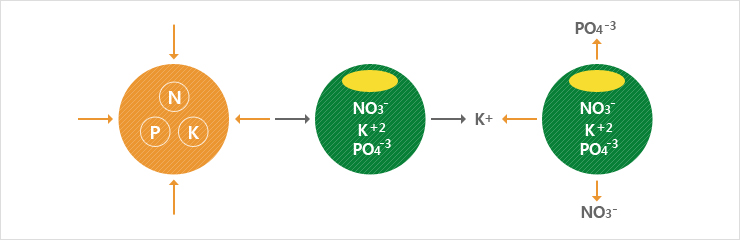 Releasing process